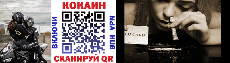 COCAIN Fish Scale  Купить где  Зея 