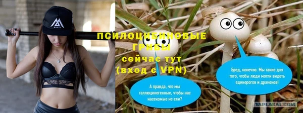 герыч Бородино