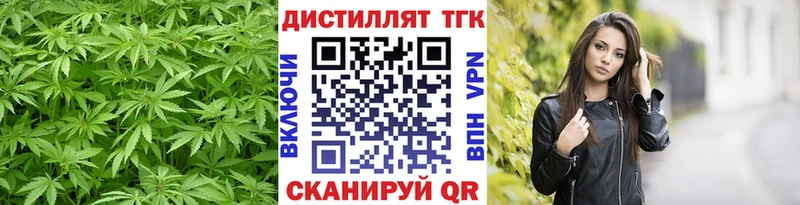 Купить где  Зея  Дистиллят ТГК Wax 