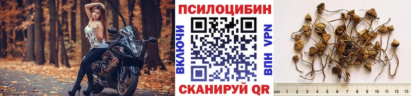 Купить закладки  Зея  Галлюциногенные грибы GOLDEN TEACHER 