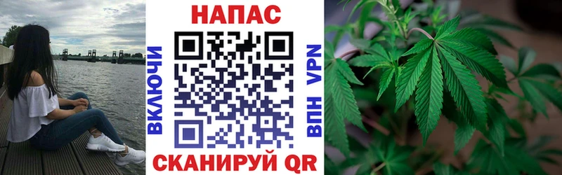 Купить  Зея  Бошки марихуана THC 21% 